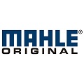 MAHLE MAHLE