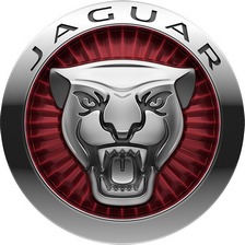 JAGUAR [ORG]